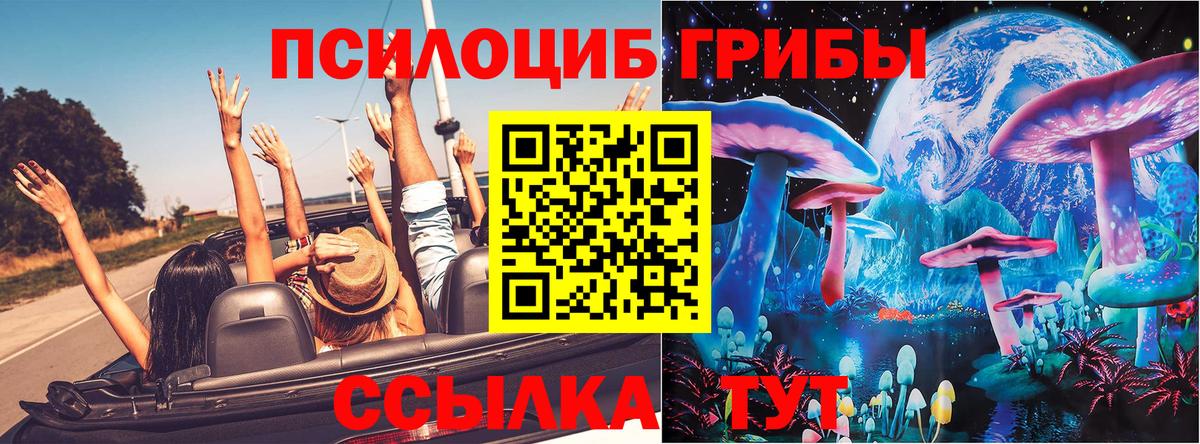 Псилоцибиновые грибы ЛСД Михайловск