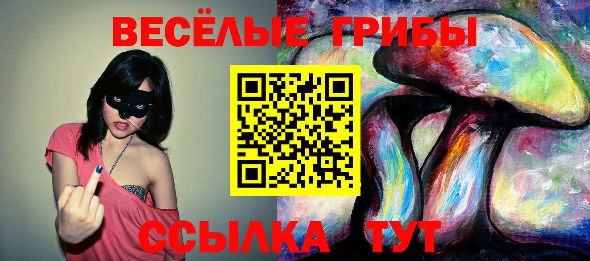Псилоцибиновые грибы GOLDEN TEACHER  наркотики  Михайловск  Вход с VPN 
